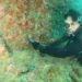 Iema capacita mergulhadores para combate ao coral-sol em Guarapari