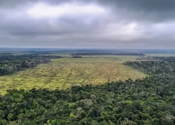 Emissões de gases caem em 2024, mas meta climática segue em risco