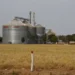 Brasil tem sexto maior crescimento no ranking das economias do G20