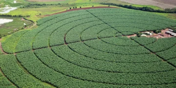 Indonésia negocia venda de fertilizantes para o Brasil e mais 3 países