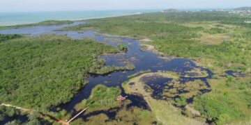 Dia Estadual da Floresta de Restinga destaca importância da preservação do ecossistema costeiro