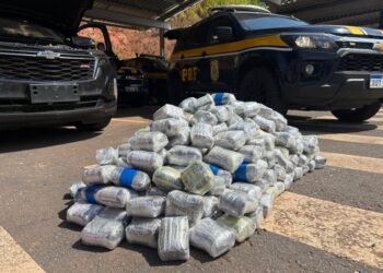 PRF apreende 159 kg de haxixe na BR-101, em Serra