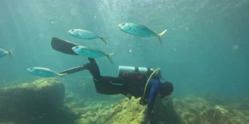 ONG busca ciência para orientar manejo sustentável de costões rochosos