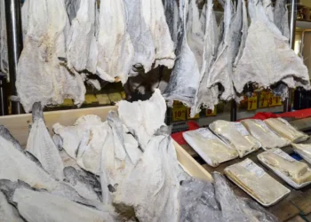 Consumidor deve ficar atento à qualidade do bacalhau na Semana Santa