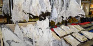 Consumidor deve ficar atento à qualidade do bacalhau na Semana Santa