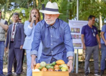 Lula: qualidade do agro é essencial para ampliar exportações