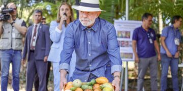 Lula: qualidade do agro é essencial para ampliar exportações