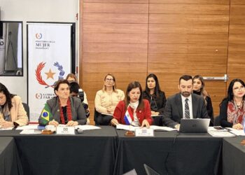Brasil propõe pacto regional contra feminicídio no Mercosul