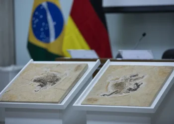 Brasil quer recuperar dinossauros e patrimônios que estão em 14 países