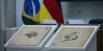 Brasil quer recuperar dinossauros e patrimônios que estão em 14 países