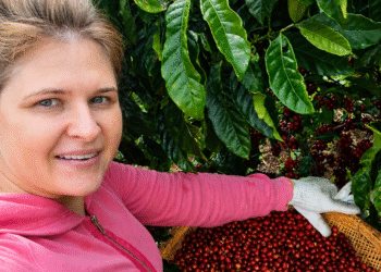 Projeto Mulheres do Café abre inscrições para publicação com histórias de cafeicultoras capixabas