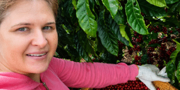 Projeto Mulheres do Café abre inscrições para publicação com histórias de cafeicultoras capixabas