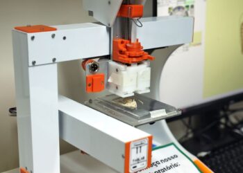 Carne de laboratório: conheça a técnica desenvolvida pela Embrapa