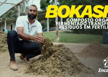 Incaper ensina a produzir adubo orgânico fermentado do tipo Bokashi em novo vídeo disponível no YouTube