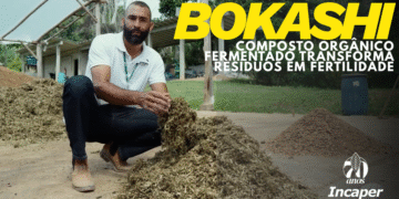 Incaper ensina a produzir adubo orgânico fermentado do tipo Bokashi em novo vídeo disponível no YouTube