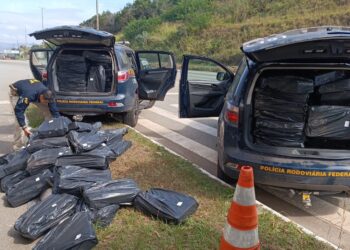 Carga de maconha apreendida na BR-262 tinha Colatina como destino final