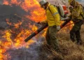 Governo repassa R$ 337 milhões para combate a incêndios e desmatamento