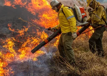 Governo repassa R$ 337 milhões para combate a incêndios e desmatamento