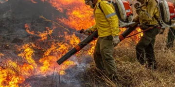 Governo repassa R$ 337 milhões para combate a incêndios e desmatamento