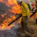 Governo repassa R$ 337 milhões para combate a incêndios e desmatamento