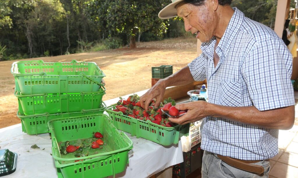 Valter Campanato/Agência Brasil