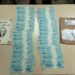 PF prende mulher por crime de moeda falsa no Espírito Santo