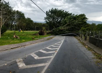 Sobe para três o número de mortes em SP devido à ventania