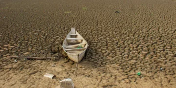 Brasil promete restaurar 163 mil km² de terras degradadas até 2030
