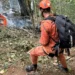 Justiça autoriza cremação de vítimas de queda de helicóptero no Rio