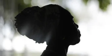 Plano Nacional de Promoção da Igualdade Racial recebe contribuições