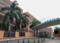 Anvisa aprova novo medicamento para tratar lúpus