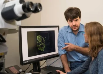 Cientistas alemães e dos Estados Unidos ganham Nobel de Medicina
