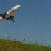 Gol nega cancelamento de voos em massa para o Nordeste