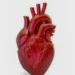 A cada 72 segundos, uma pessoa morre por doença cardiovascular no país