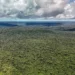 MapBiomas: Amazônia registra menor nível de desmatamento em 41 anos
