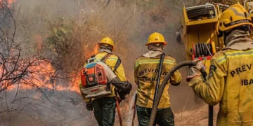 Amazonas recebe aeronaves para combater queimadas