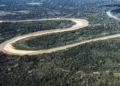 Holanda anuncia US$ 500 milhões em fundo florestal criado pelo Brasil