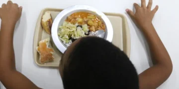 ONU: inovação para enfrentar crise alimentar é tema de ação no Brasil